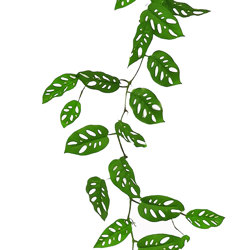 Artificial Trailing Vine- Swiss Cheese Plant - artificial plants, flowers & trees - image 2