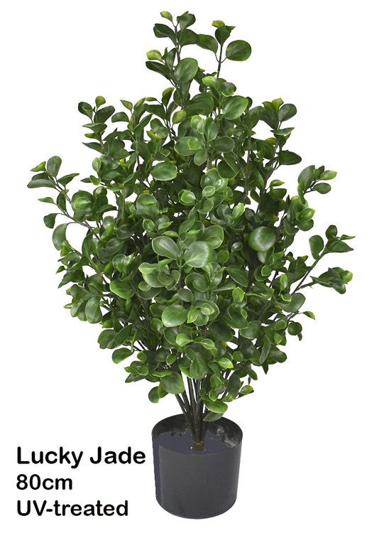 Articial Plants - UV-Bush Lucky Jade 80cm