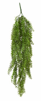 UV-Trailer: Trailing Succulent Fern 70cm 
