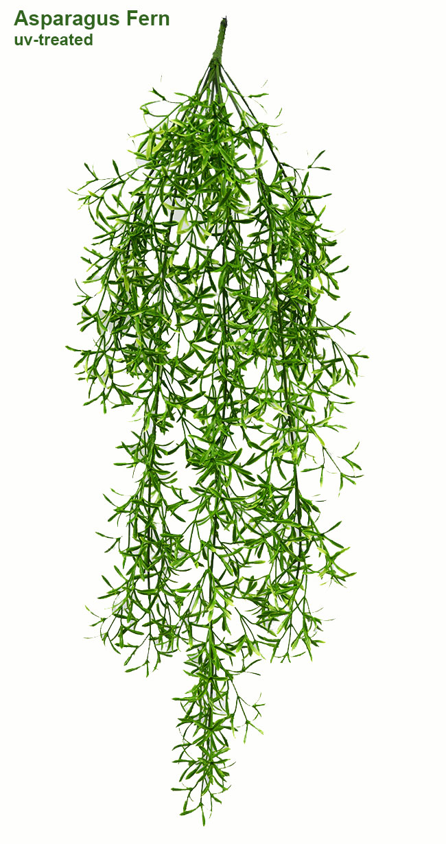 UV-Trailer: Coral Fern 70cm x 12 pce