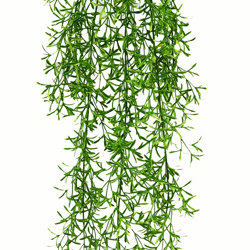 UV-Trailer: Coral Fern 70cm x 12 pce - artificial plants, flowers & trees - image 2
