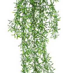 UV-Trailer: Asparagus Fern [dark-green] - artificial plants, flowers & trees - image 1