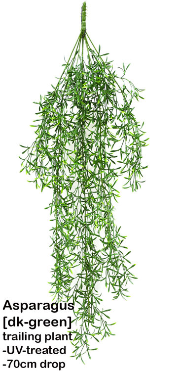 Articial Plants - UV-Trailer: Asparagus Fern [dark-green]