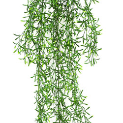 UV-Trailer: Coral Fern 70cm x 12 pce - artificial plants, flowers & trees - image 1