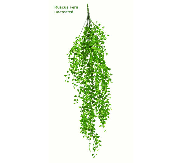 UV-Trailer: Ruscus Fern 70cm