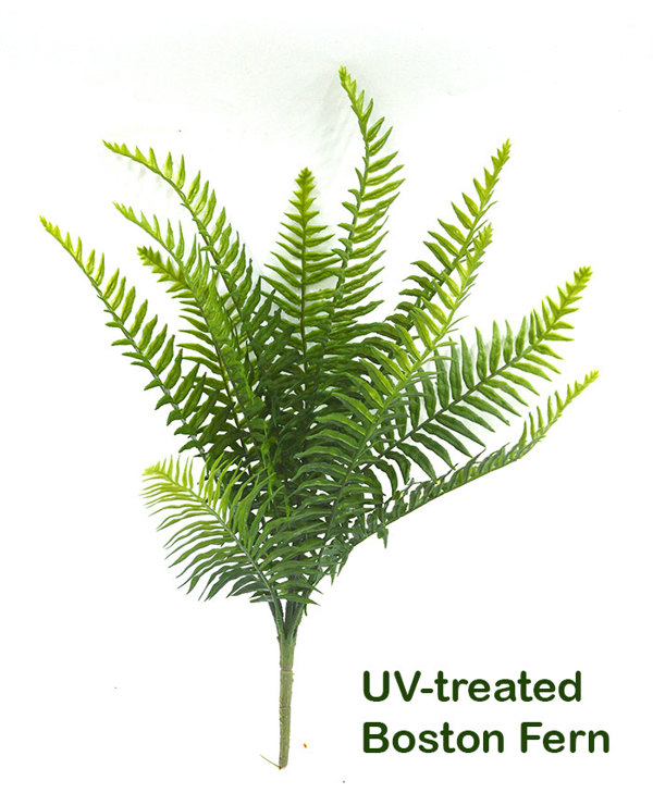 Articial Plants - Boston Fern UV-treated