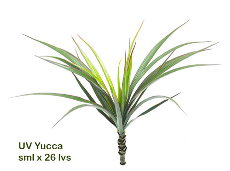 Yuccas- UV-stable...small