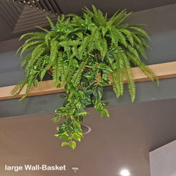 Fishbone Ferns unpotted [large] - artificial plants, flowers & trees - image 6