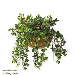 Wall-Baskets Jade UV- med - artificial plants, flowers & trees - image 1
