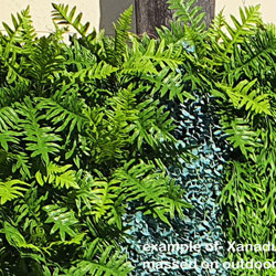 Xanadu Bush UV-treated x 10 pieces - artificial plants, flowers & trees - image 2