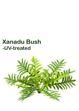 Xanadu Bush UV-treated
