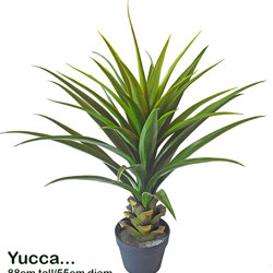Yucca- 88cm in plastic pot - artificial plants, flowers & trees - image 10