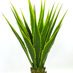 Yucca- variegated 1m - artificial plants, flowers & trees - image 3