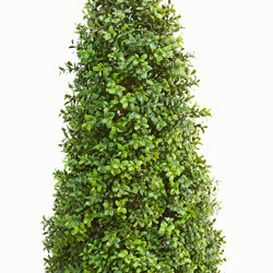 Boxwood Cone 120cm UV-treated  - artificial plants, flowers & trees - image 3