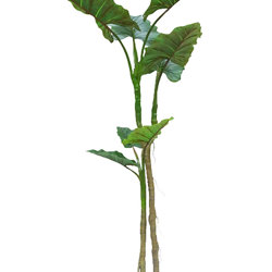 Alocasia 'dragon-wing' 1.8m - artificial plants, flowers & trees - image 8