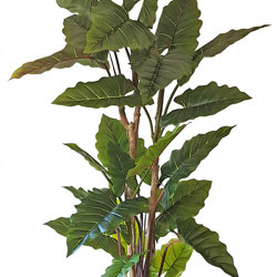 Alocasia 'dragon-wing' 1.8m - artificial plants, flowers & trees - image 7