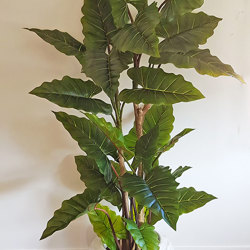 Alocasia 'dragon-wing' 1.8m - artificial plants, flowers & trees - image 5