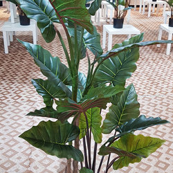 Alocasia 'dragon-wing' 1.1m - artificial plants, flowers & trees - image 4