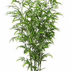 Bali Bamboo 2.1m - artificial plants, flowers & trees - image 4