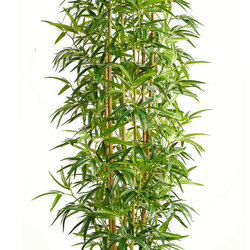 Bamboo 'thai gold' 1.8m - artificial plants, flowers & trees - image 5