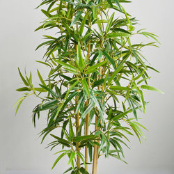 Bamboo 'thai gold' 1.2m - artificial plants, flowers & trees - image 9