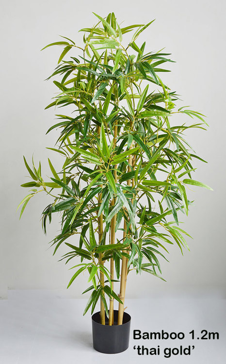 Articial Plants - Bamboo 'thai gold' 1.2m