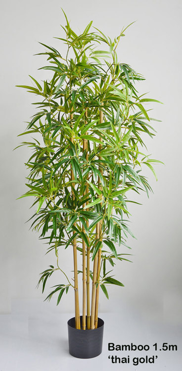 Articial Plants - Bamboo 'thai gold' 1.5m