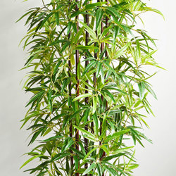 Bamboo 'thai gold' 1.2m - artificial plants, flowers & trees - image 3