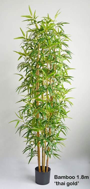 Articial Plants - Bamboo 'thai gold' 1.8m