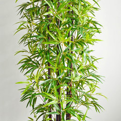 Bamboo 'thai gold' 1.8m - artificial plants, flowers & trees - image 4