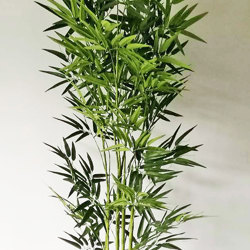 Bamboo UV-treated 1.8m - artificial plants, flowers & trees - image 1