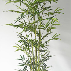 Bamboo UV-treated 1.8m - artificial plants, flowers & trees - image 3