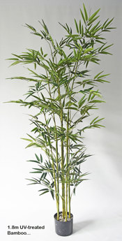 Bamboo UV-treated 1.8m