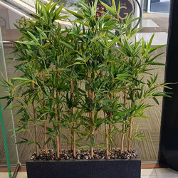 Bamboo 'thai gold' 1.8m - artificial plants, flowers & trees - image 7