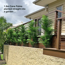 Cane Palm 1.2m UV stable - artificial plants, flowers & trees - image 1