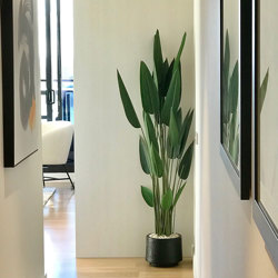 Artificial Bird of Paradise Plant 1.4m - artificial plants, flowers & trees - image 1