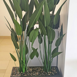 Trough Planters- with Bird-o-Paradise 1.75m tall  - artificial plants, flowers & trees - image 3