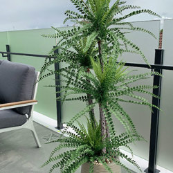 Button Palm 1.8m x 5 heads - artificial plants, flowers & trees - image 2