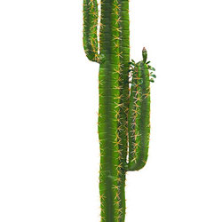 Arizona Cactus 2m triple-stem - artificial plants, flowers & trees - image 2