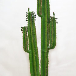 Arizona Cactus 1.6m double-stem - artificial plants, flowers & trees - image 4