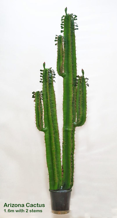 Articial Plants - Arizona Cactus 1.6m double-stem