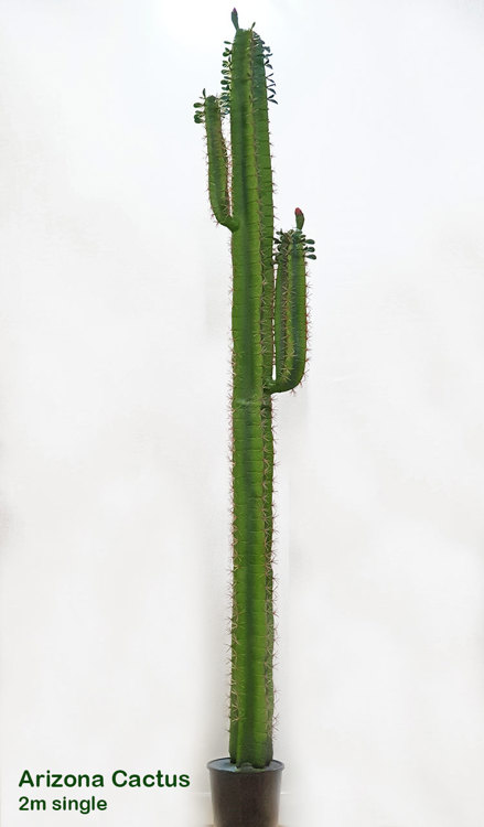Articial Plants - Arizona Cactus 2m single