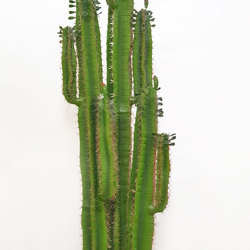 Arizona Cactus 1.2m - artificial plants, flowers & trees - image 5