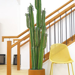 Arizona Cactus 1.6m double-stem - artificial plants, flowers & trees - image 9