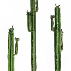Arizona Cactus 2m single - artificial plants, flowers & trees - image 7