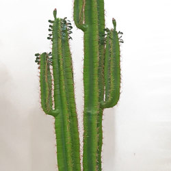 Arizona Cactus 2m triple-stem - artificial plants, flowers & trees - image 6