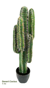 Cactii- Desert Cactus 1.1m