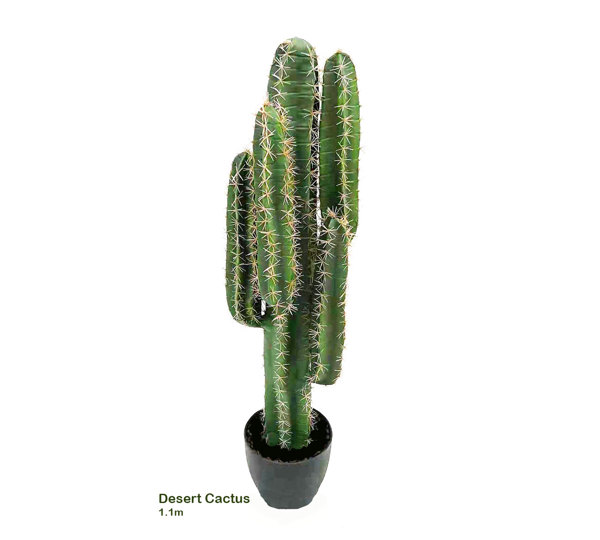 Cactii- Desert Cactus 1.1m