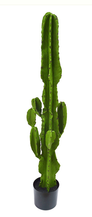 Articial Plants - Cactii- San Pedro Cactus 1.2m
