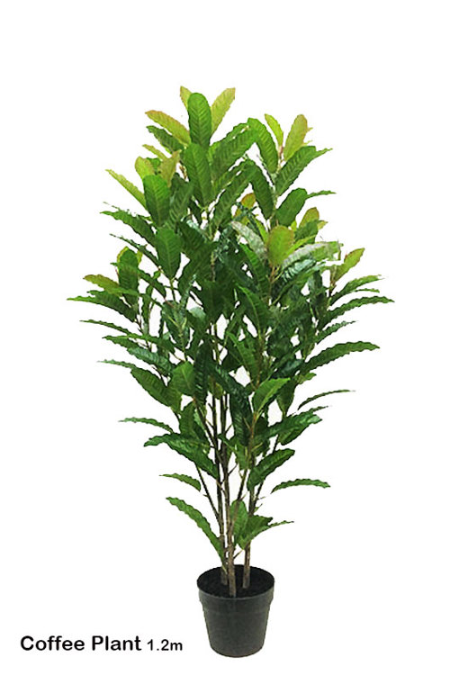 Articial Plants - Coffee Plant 1.2m